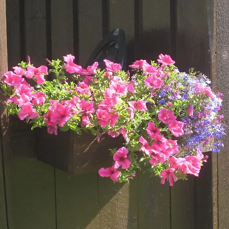 Smegarden *